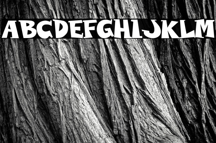 WOLVINS Bold Font examples