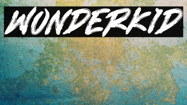 WONDERKID Example 1