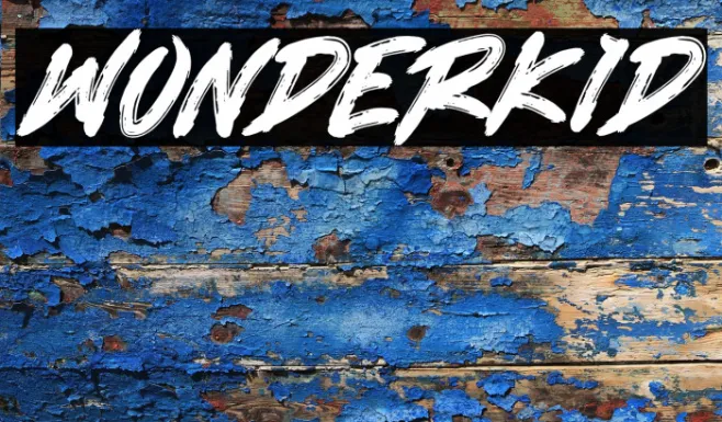 WONDERKID Example 2