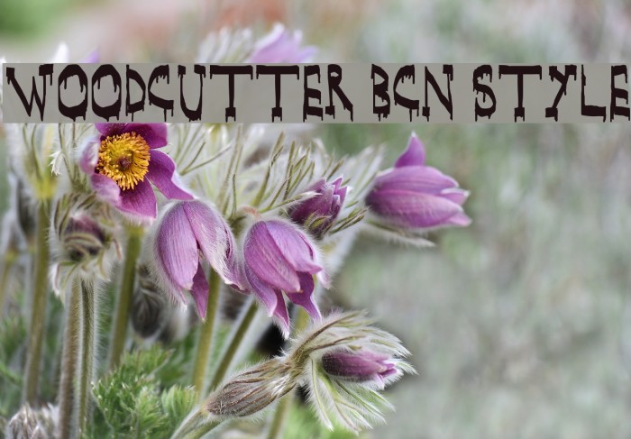 WOODCUTTER BCN Style Example 1