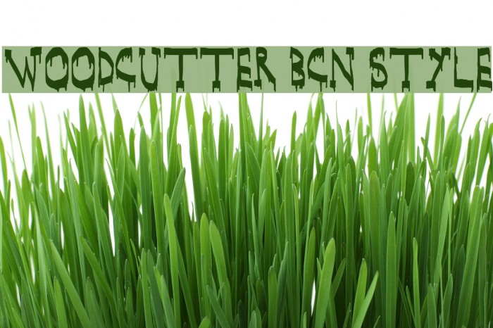 WOODCUTTER BCN Style Example 3