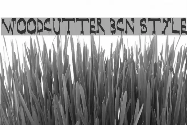 WOODCUTTER BCN Style Font examples
