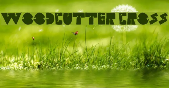 WOODCUTTER CROSS Example 1