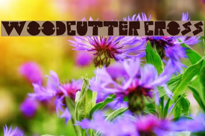 WOODCUTTER CROSS Example 2