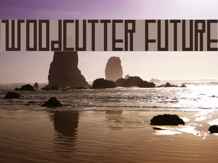 WOODCUTTER FUTURE Font examples
