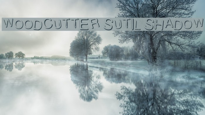 WOODCUTTER SUTIL SHADOW Font examples