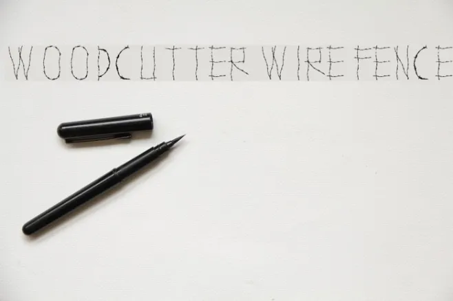 WOODCUTTER WIRE FENCE Example 1