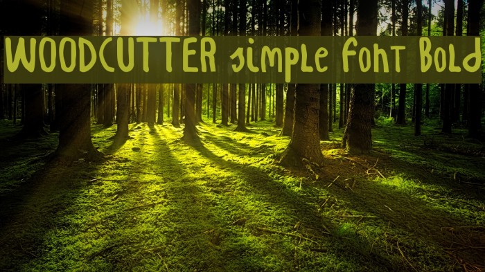 WOODCUTTER simple font Bold Font examples