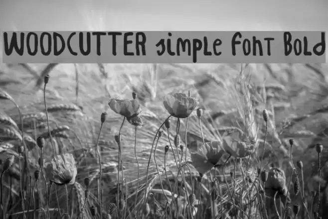 WOODCUTTER simple font Bold Font examples
