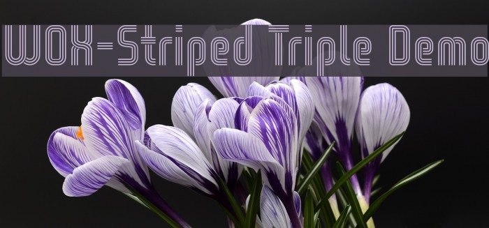 WOX-Striped Triple Demo Font examples
