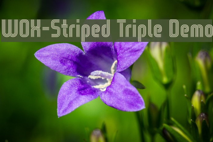 WOX-Striped Triple Demo Font examples