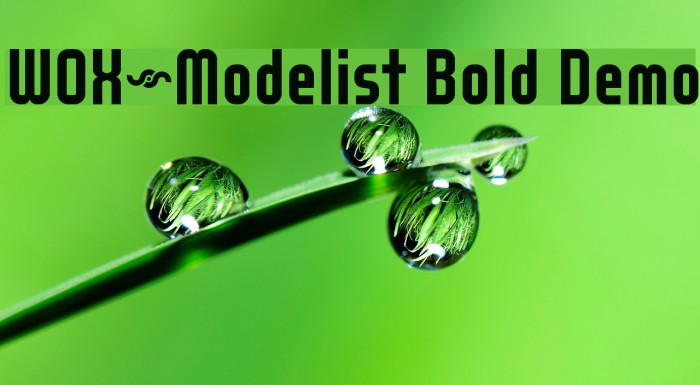 WOX~Modelist Bold Demo Font examples