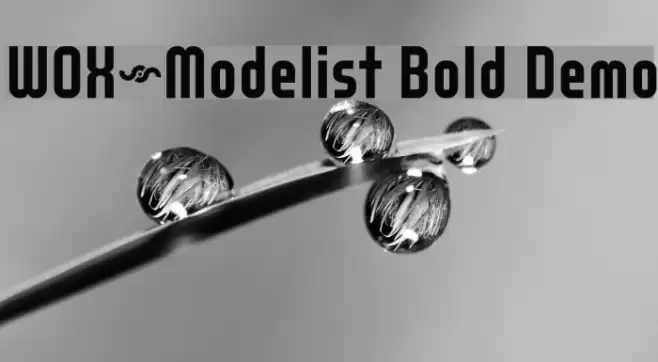 WOX~Modelist Bold Demo 字体 examples