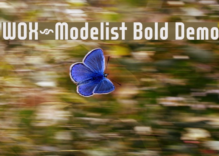 WOX~Modelist Bold Demo Font examples