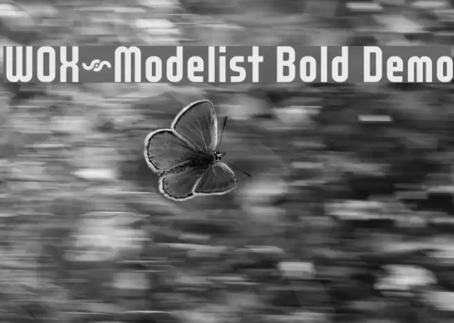WOX~Modelist Bold Demo 字体 examples