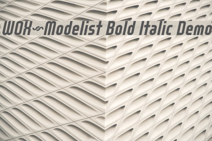 WOX~Modelist Bold Italic Demo Font examples