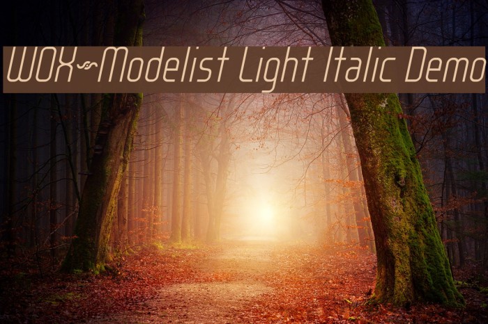 WOX~Modelist Light Italic Demo Font examples