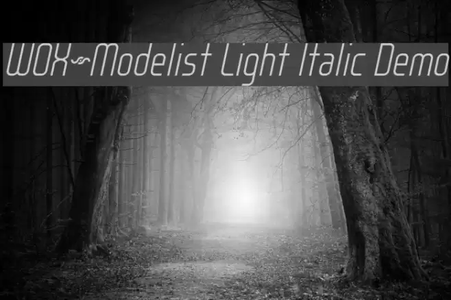 WOX~Modelist Light Italic Demo Fuentes examples