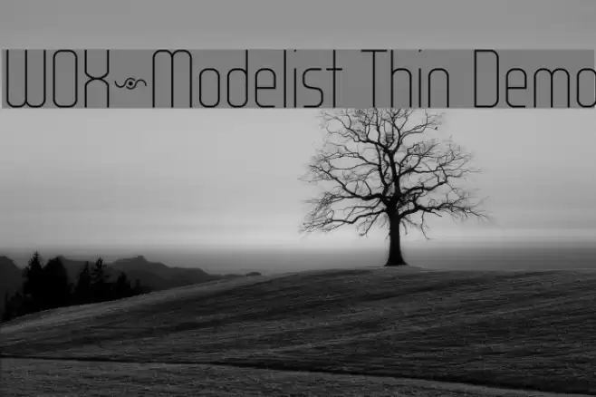 WOX~Modelist Thin Demo Font examples