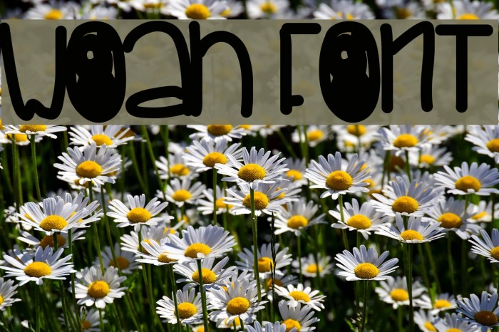 Woah Font examples