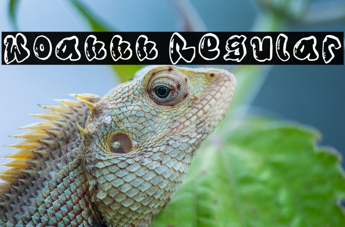 Woahhh Regular Example 2