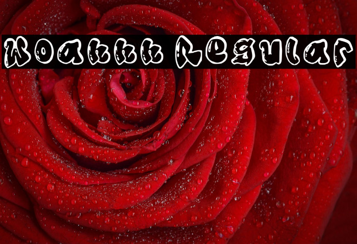 Woahhh Regular Example 3