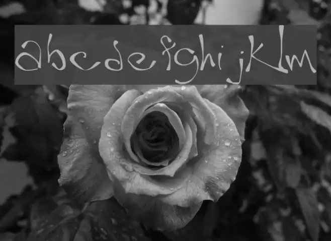 Wobble Schriftart examples