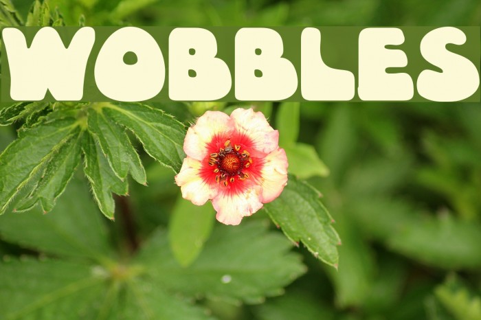 Wobbles Font examples