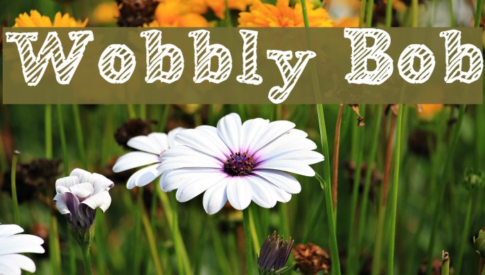 Wobbly Bob Font examples