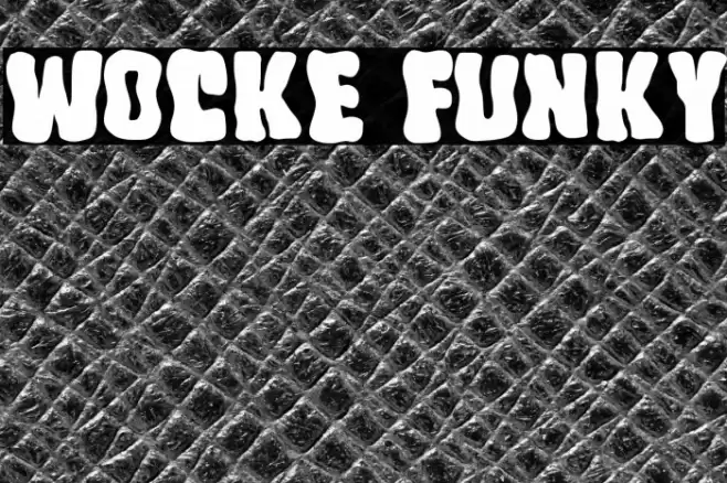 Wocke Funky Fonte examples