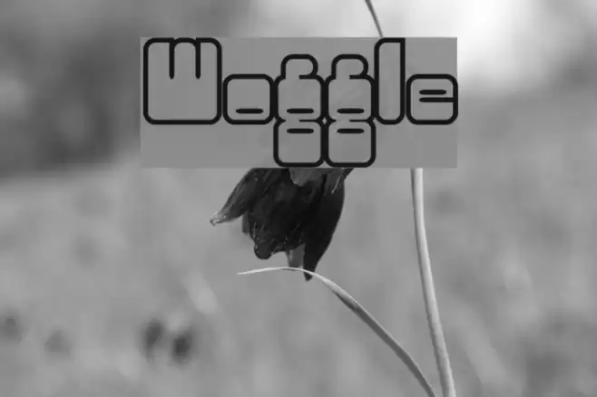 Woggle Font examples
