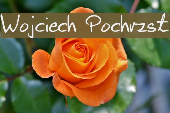 Wojciech Pochrzst फ़ॉन्ट examples