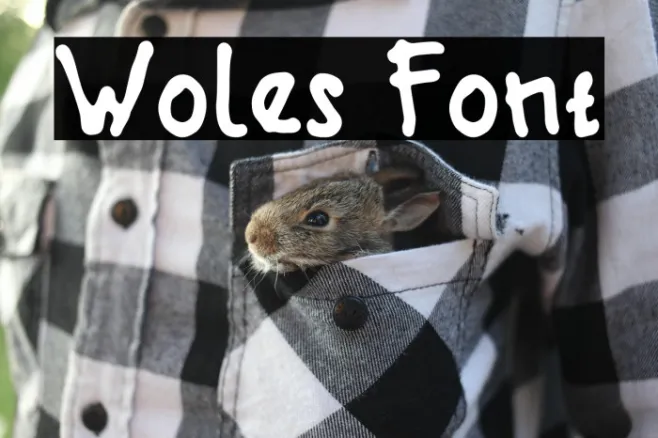 Woles Example 1