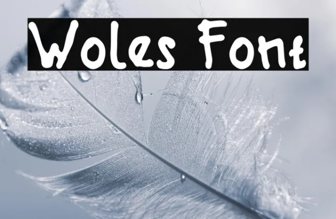 Woles Example 2