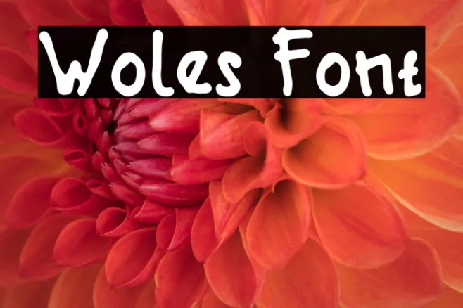Woles Example 3