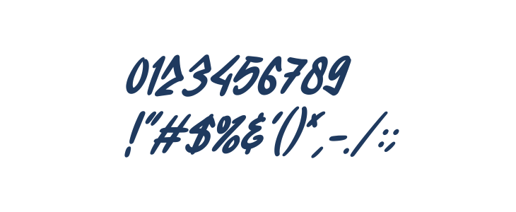 Wolesmaker Italic Other Characters