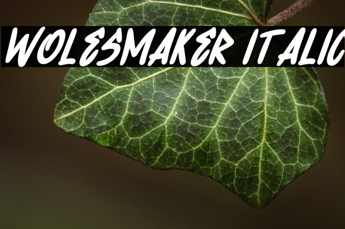 Wolesmaker Italic Example 1