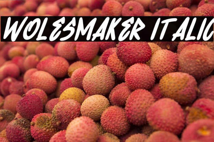 Wolesmaker Italic Example 2