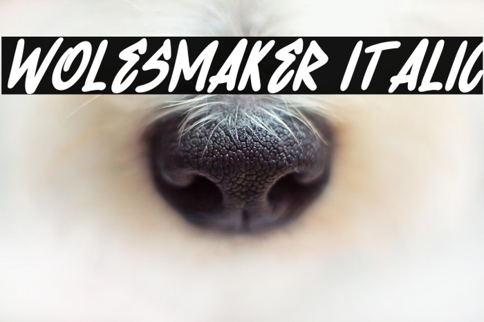 Wolesmaker Italic Example 3