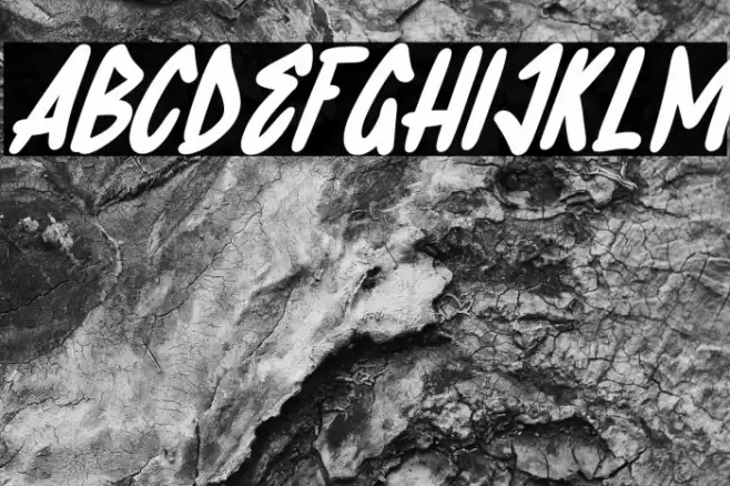 Wolesmaker Italic Font examples