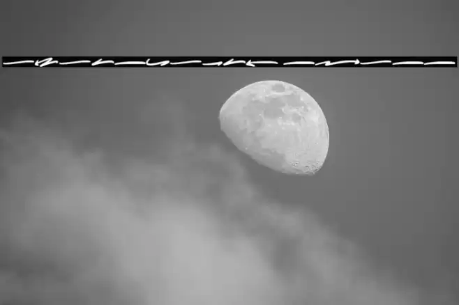 Wolesmaker Swash Font examples