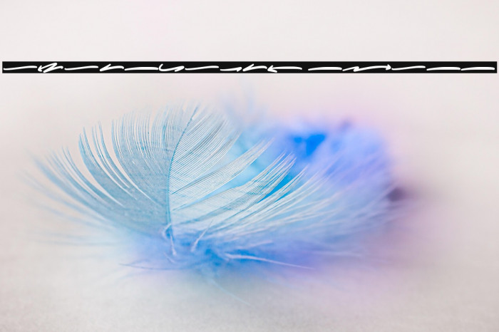 Wolesmaker Swash Example 3