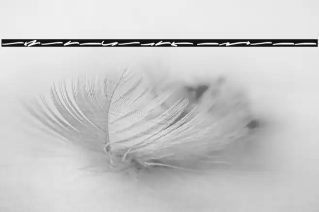 Wolesmaker Swash Font examples