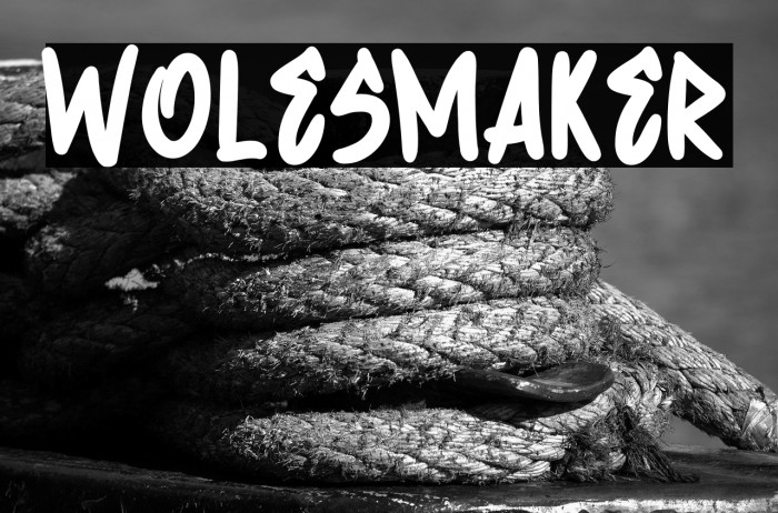 Wolesmaker Example 2