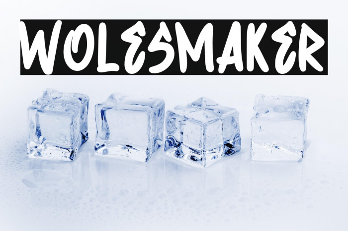 Wolesmaker Example 3