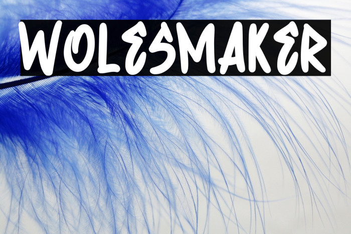 Wolesmaker Example 3