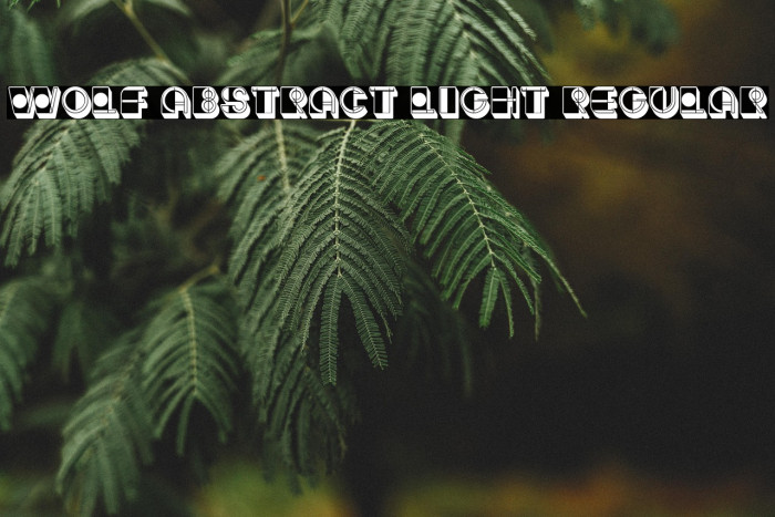 Wolf Abstract Light Regular Example 1