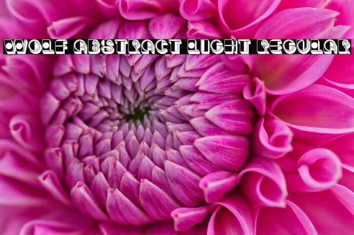 Wolf Abstract Light Regular Example 3