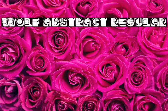 Wolf Abstract Regular Example 2