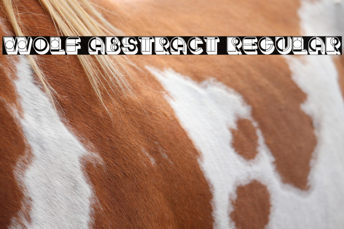 Wolf Abstract Regular Example 3